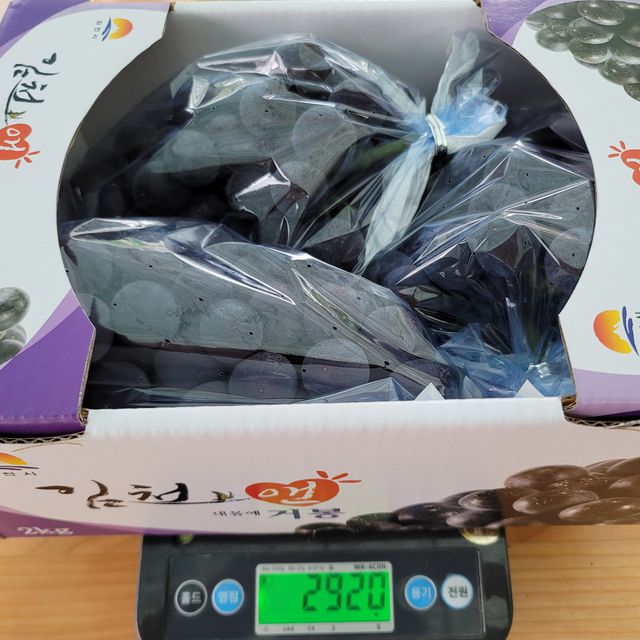프리미엄 거봉포도 2kg (3수) 무료배송 사진13