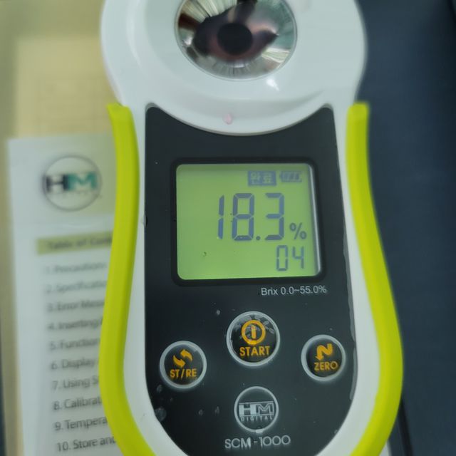 프리미엄 거봉포도 2kg (3수) 무료배송 사진11