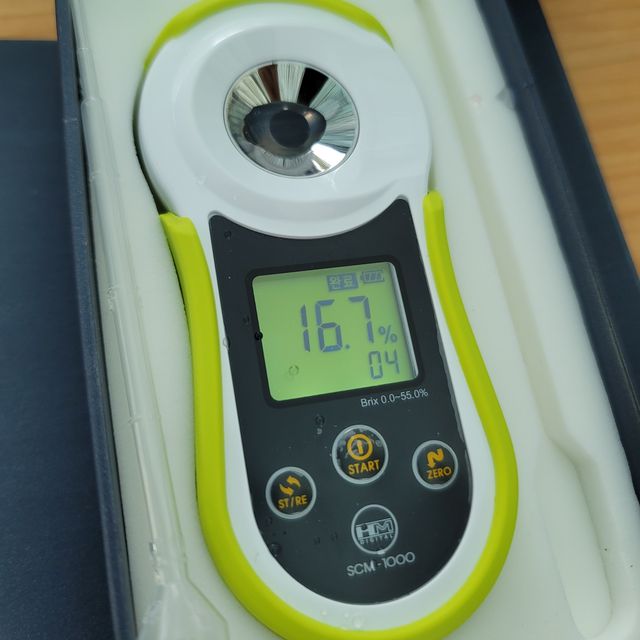 프리미엄 거봉포도 2kg (3수) 무료배송 사진10