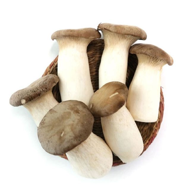 무농약 친환경 새송이버섯 2kg  특 사진