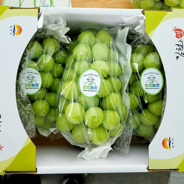 프리미엄 샤인머스캣 2kg (2~3수) 무료배송 사진3