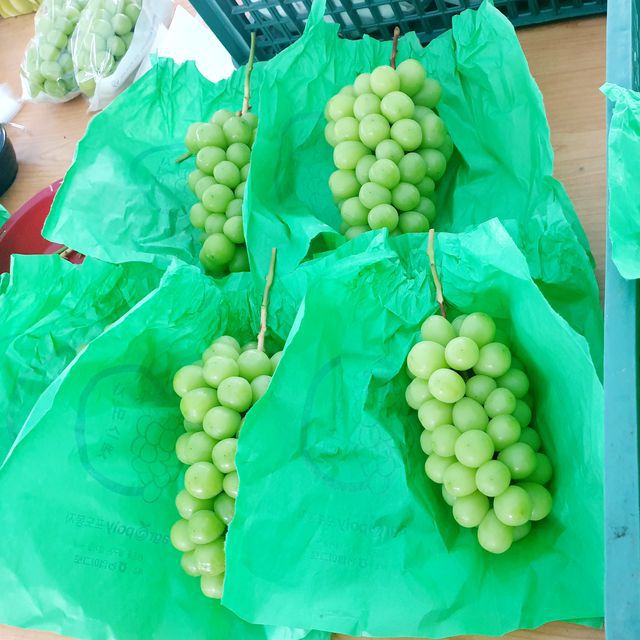 프리미엄 샤인머스캣 4kg (4~5수) 무료배송 사진9