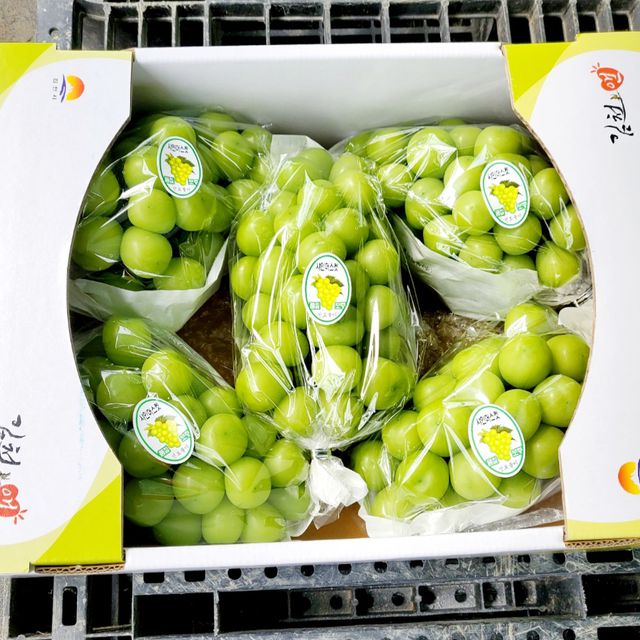 프리미엄 샤인머스캣 4kg (4~5수) 무료배송 사진3